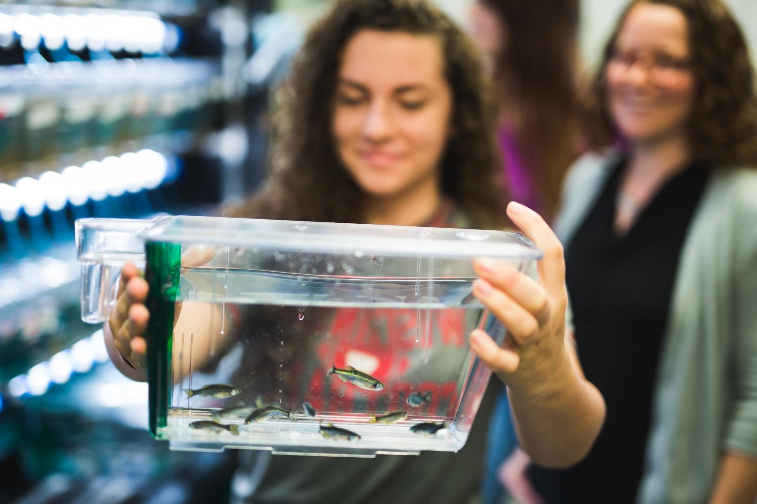 A Carthage student studies zebrafish under the guidance of Prof. Andrea Henle.