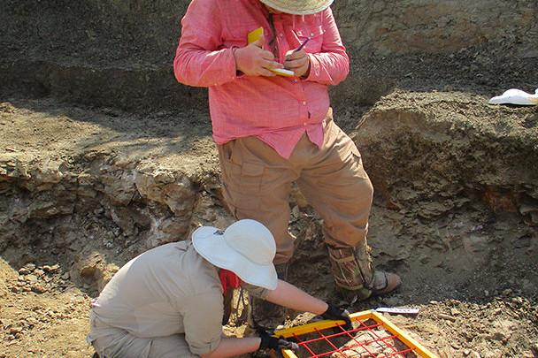 <a href='http://xxbtdz.lfkgw.com'>bv伟德ios下载</a>学生在麦卡尔哈尼采石场测绘三角龙骨骼.