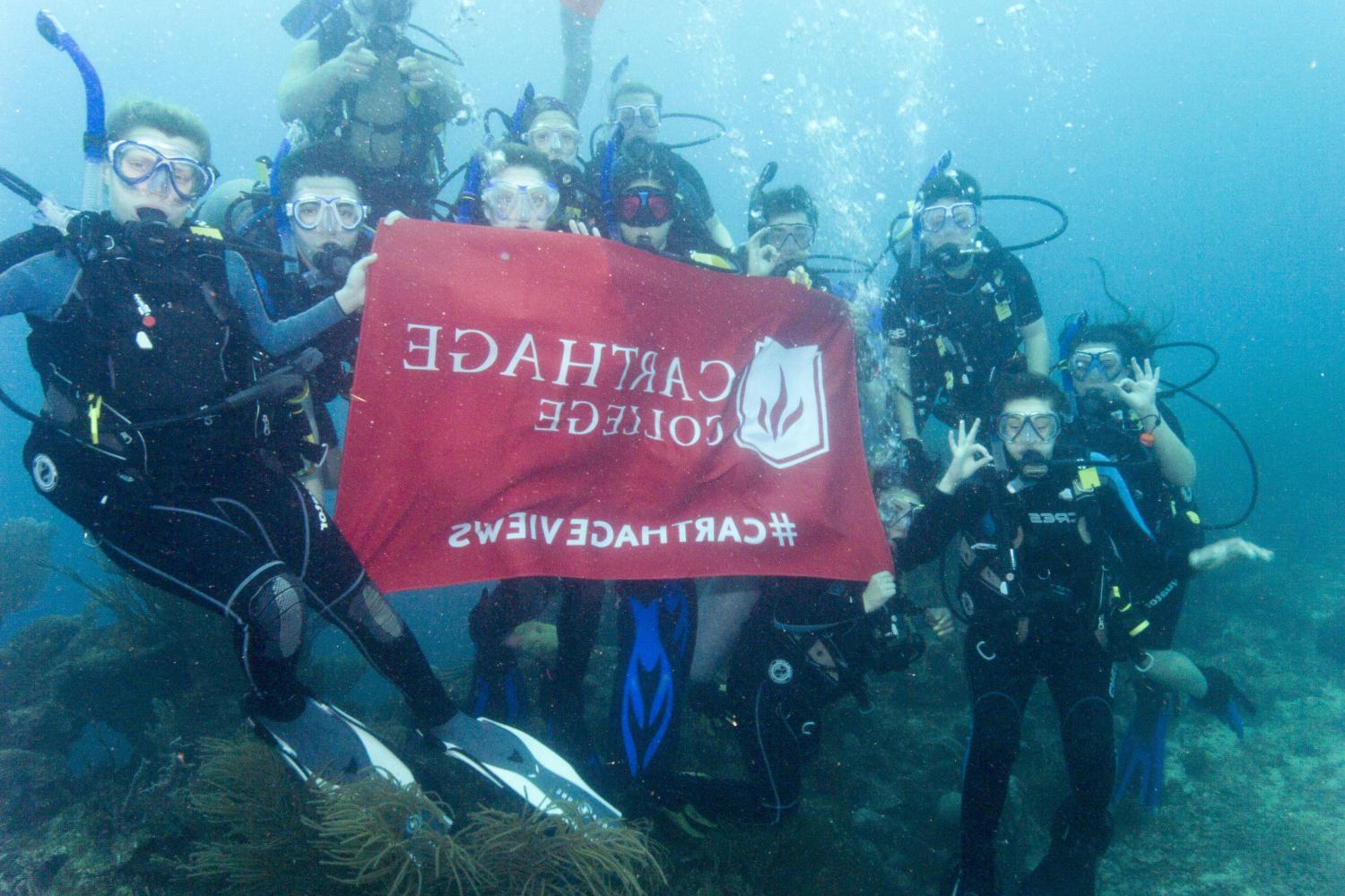 学生们手持<a href='http://xxbtdz.lfkgw.com'>bv伟德ios下载</a>旗帜，在j学期洪都拉斯游学之旅中潜水.